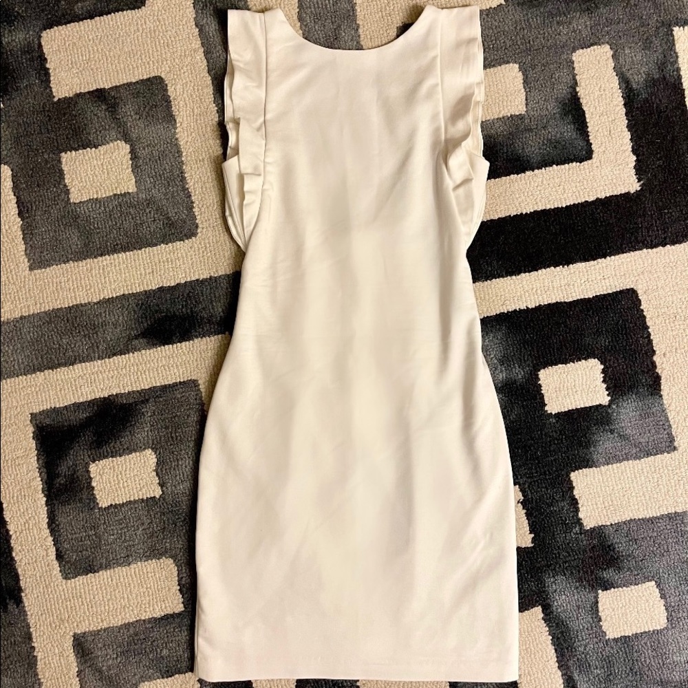 Zara Trafaluc fitted dress